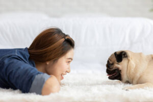Read more about the article 10 Simple Things That Make Your Dog Happy and Healthy