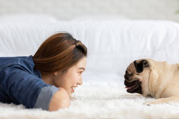 You are currently viewing 10 Simple Things That Make Your Dog Happy and Healthy