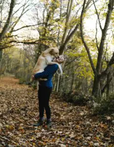 Read more about the article How Dogs Secretly Choose Their Favorite Person – 10 Shocking Facts!