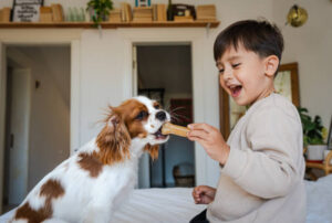 Read more about the article 13 Best Dog Breeds For Apartment Living (A Comprehensive Guide)
