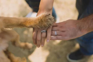 Read more about the article Why Does Your Dog Keep Checking On You? 10 Incredible Reason