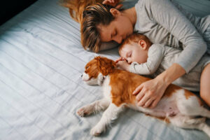 Read more about the article Your Dog Will Never Do These 10 Things Unless They Fully Trust You
