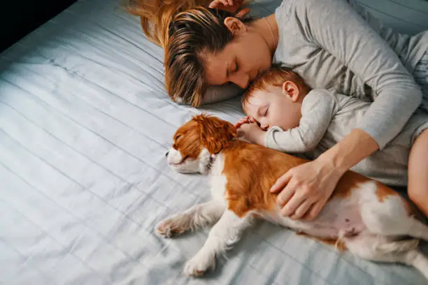 You are currently viewing Your Dog Will Never Do These 10 Things Unless They Fully Trust You