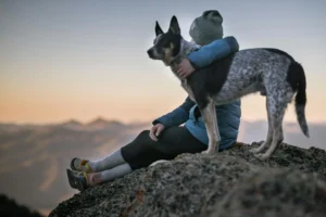 Read more about the article 13 Daily Mistakes That Affect Your Dog’s Emotion – Which One Are You Making