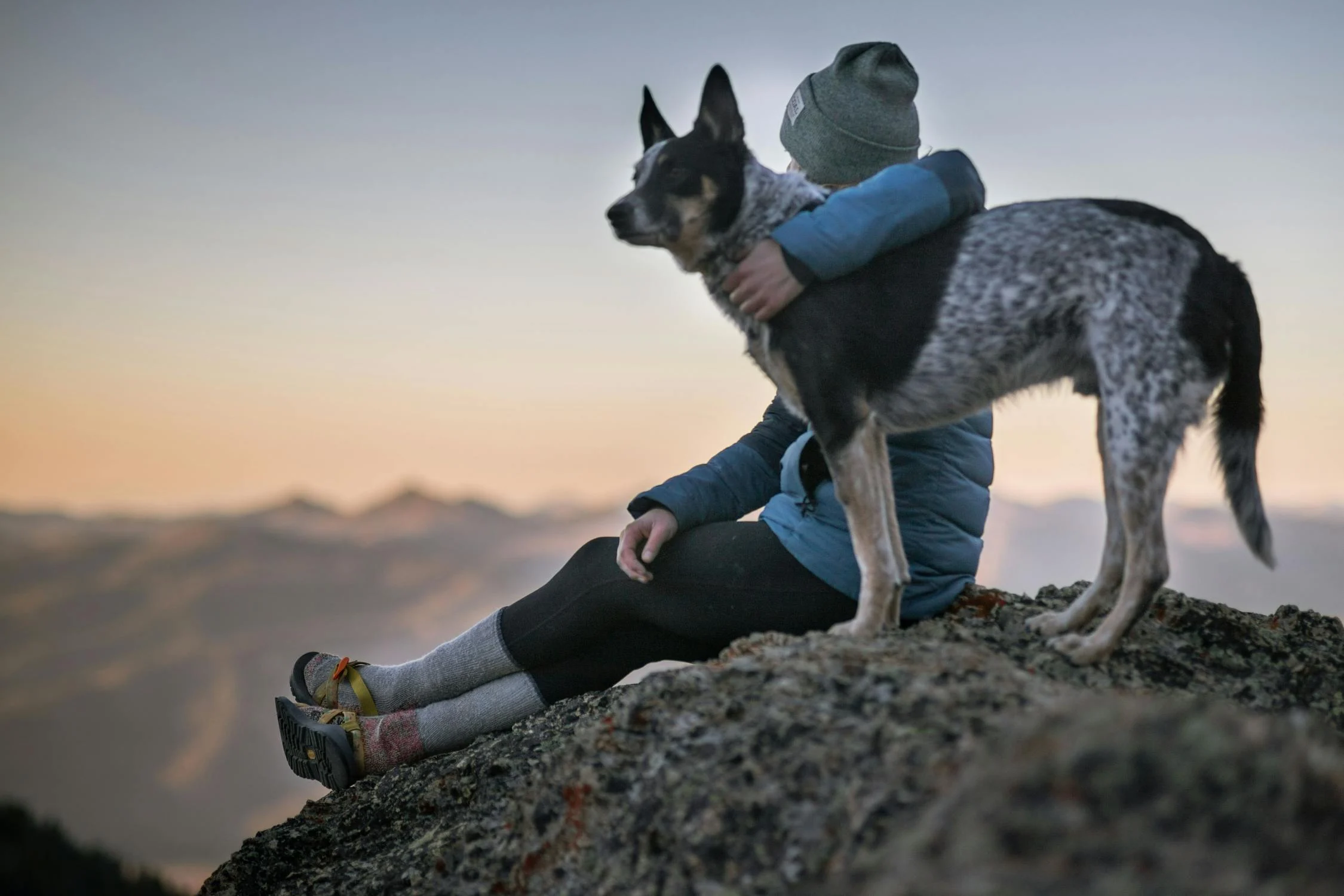 You are currently viewing 13 Daily Mistakes That Affect Your Dog’s Emotion – Which One Are You Making