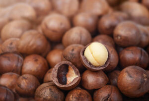 Read more about the article These 22 Foods Can KILL Your Dog – STOP Feeding It to Them