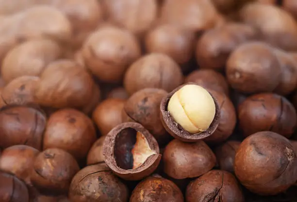 You are currently viewing These 22 Foods Can KILL Your Dog – STOP Feeding It to Them