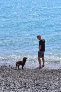 Read more about the article 11 Weird Things Your Dog Does (And the Surprising Reasons Behind Them)