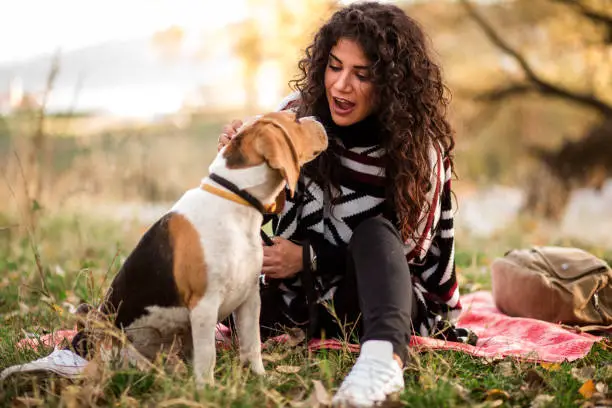 You are currently viewing 6 Ways To Tell Your Dog You Love Them (So They Can Understand)